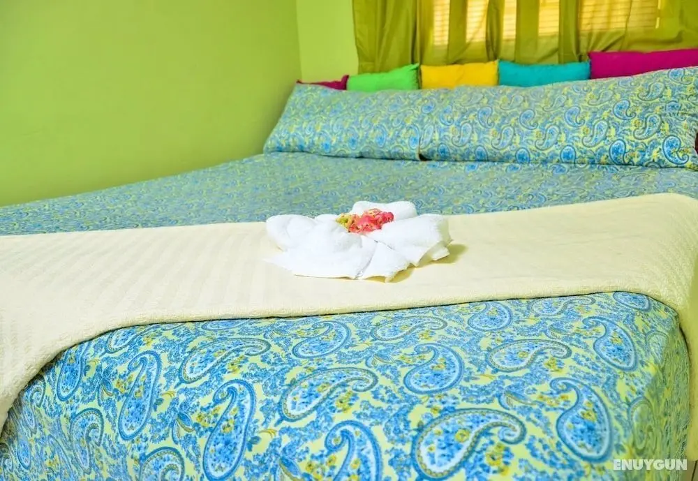 Kingston Sunset Guest Apartment II - Öne Çıkan Resim