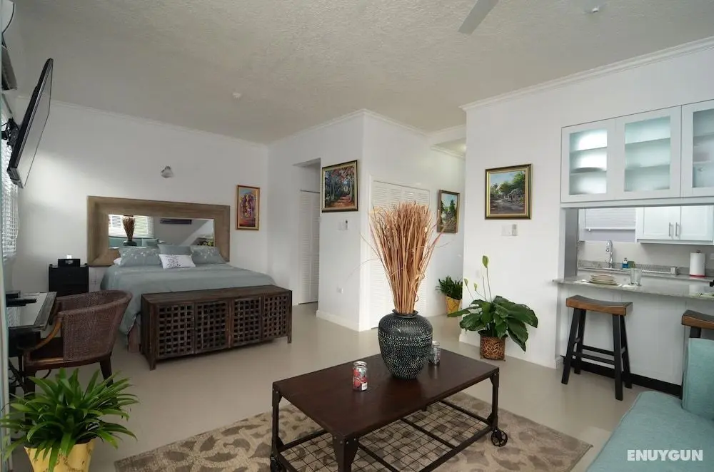 Kingsway New Kingston Guest Apartment II - Öne Çıkan Resim