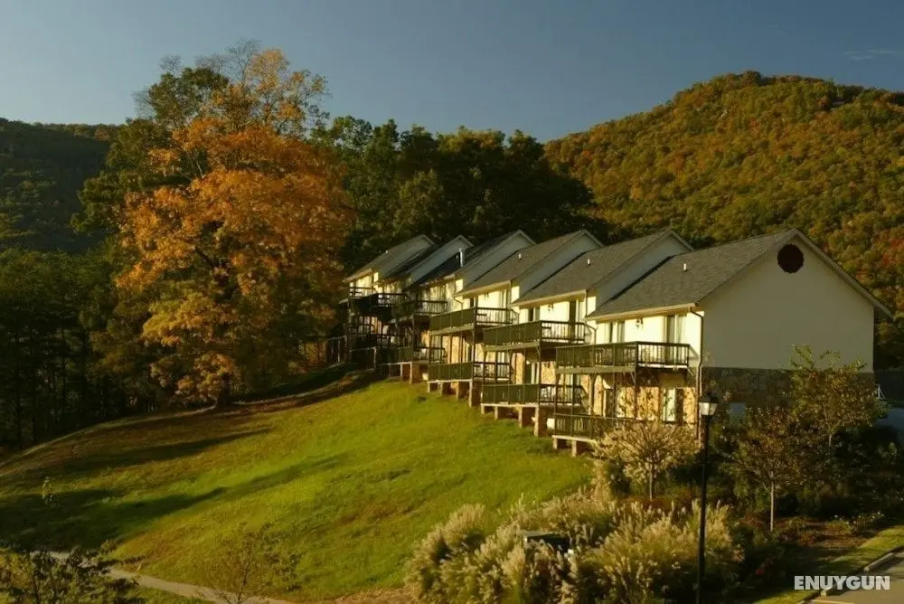Kingwood Resort - Öne Çıkan Resim