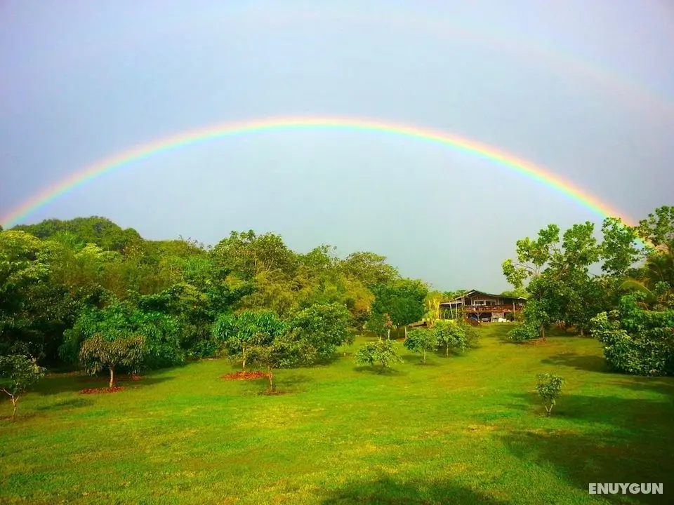 Kirpal Meditation and Ecological Center - Öne Çıkan Resim