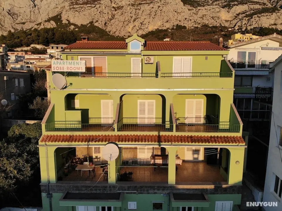 Kiwi Apartment - Öne Çıkan Resim