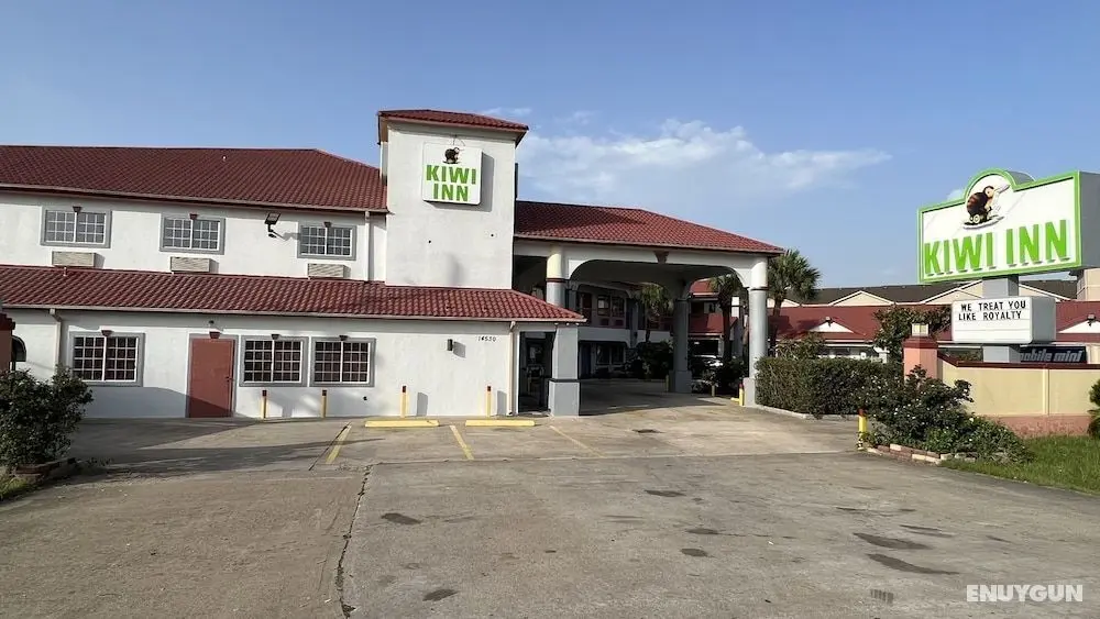 Kiwi Inn - Dış Mekan