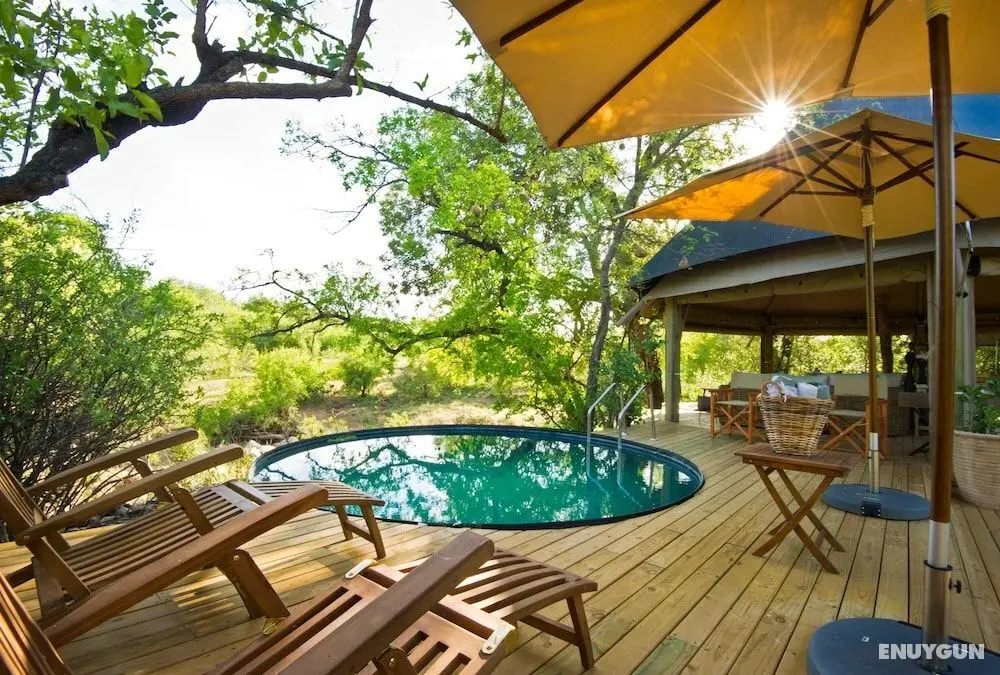 Klaserie Sands Safari Trails - Öne Çıkan Resim