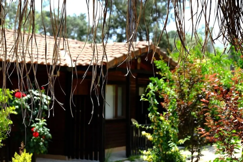 Koala Bungalows - Öne Çıkan Resim