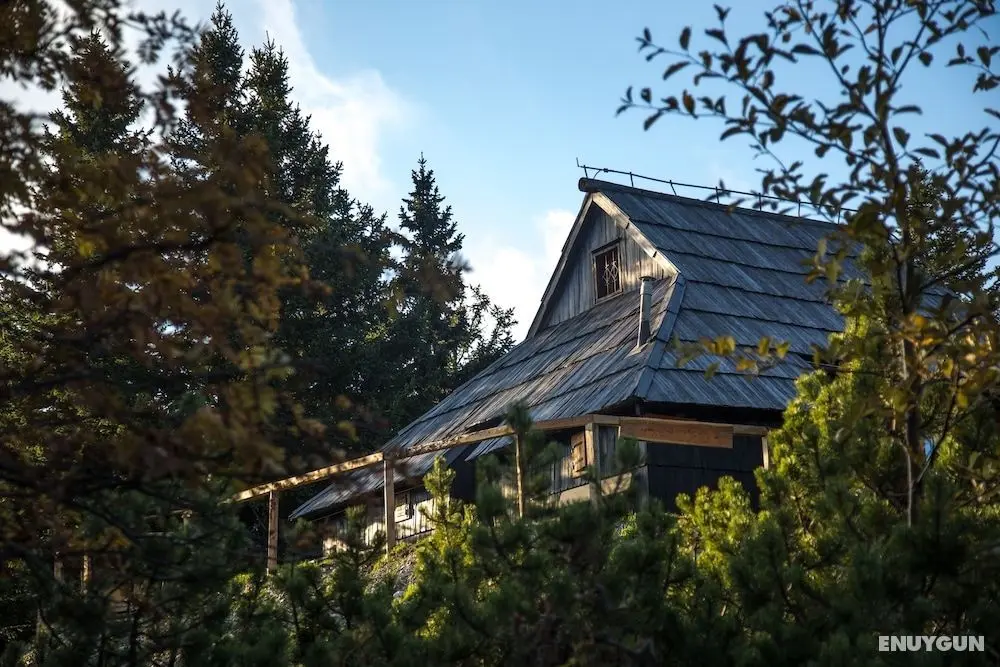 Koca Bistra - Velika planina - Öne Çıkan Resim