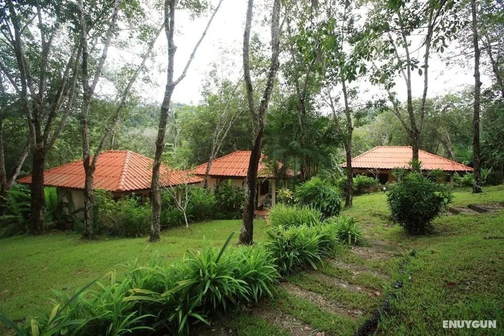 Koh Mook Rubertree Bungalow - Dış Mekanlar