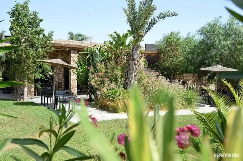 Koheilan Oriental Lodge Farm - Öne Çıkan Resim