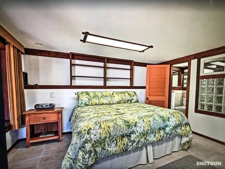 Koi Hale - Öne Çıkan Resim