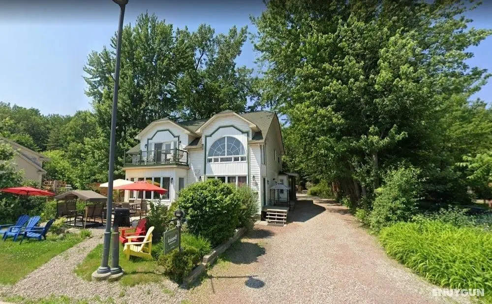Kokomo Inn - Tropical Riverfront B&B - Dış Mekan