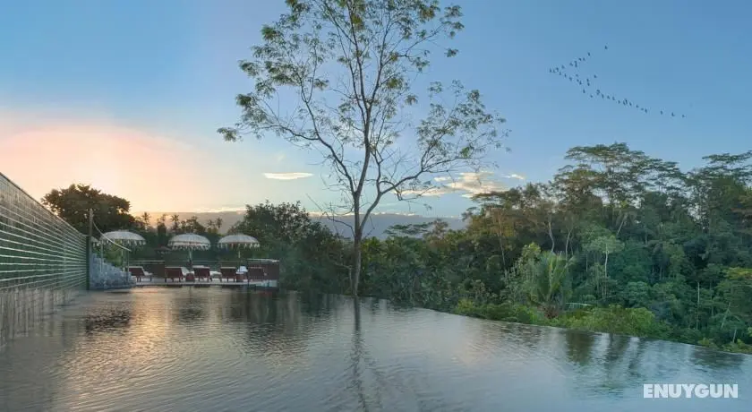 Komaneka at Tanggayuda - Genel