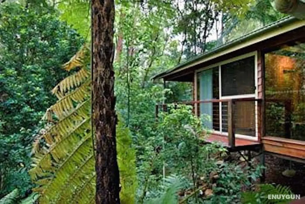 Kondalilla Eco Resort - Dış Mekan
