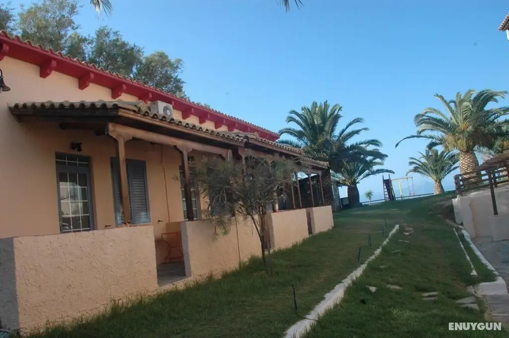 Koralli Beach - Genel