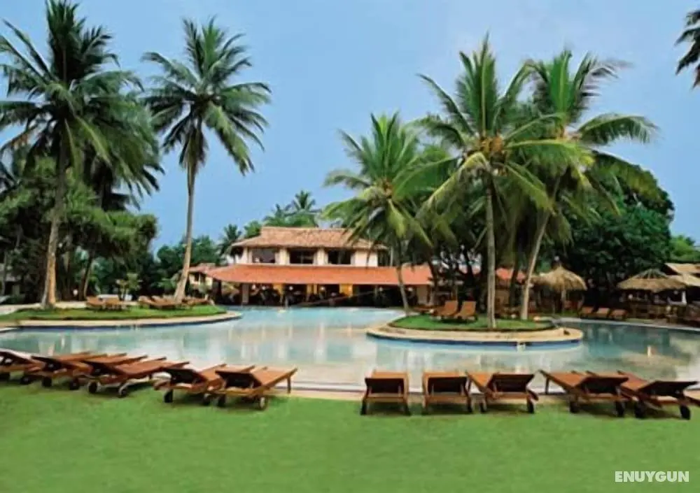 Kosgoda Beach Resort - Öne Çıkan Resim