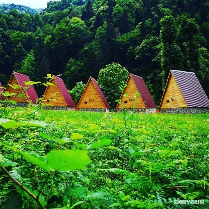 Kotit Ayder Bungalov & Restaurant - Genel