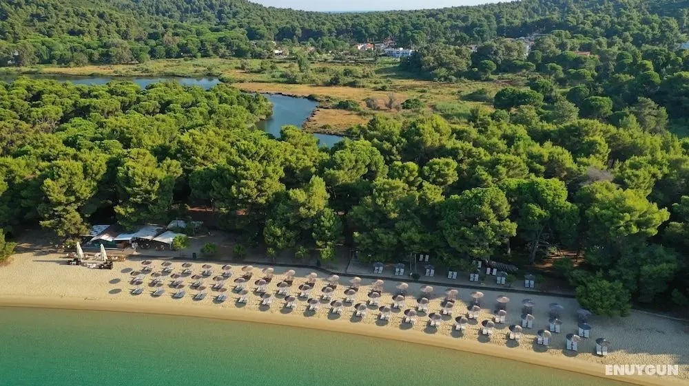 Koukounaries Beach Hotel - Plaj