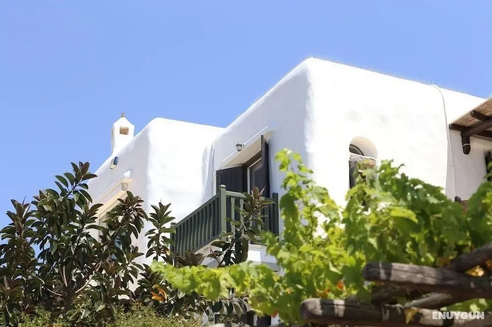 Villa Kounoupas - Öne Çıkan Resim