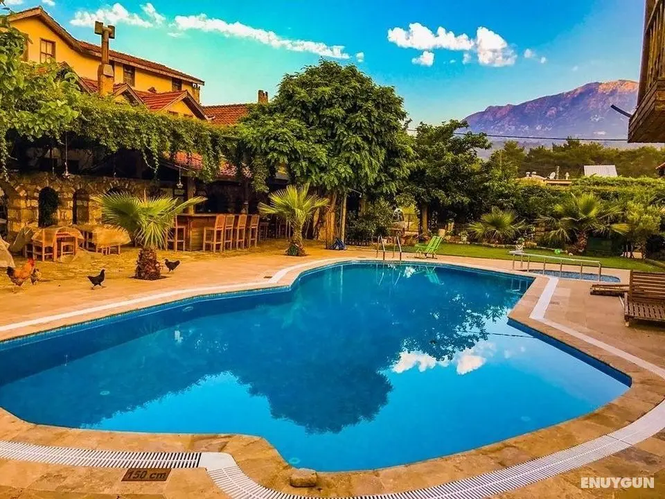 Köyevi Olympos Countryhouse - Havuz