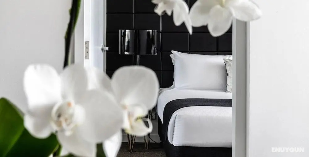 KOZYGURU Chatswood Luxury Studio - Öne Çıkan Resim