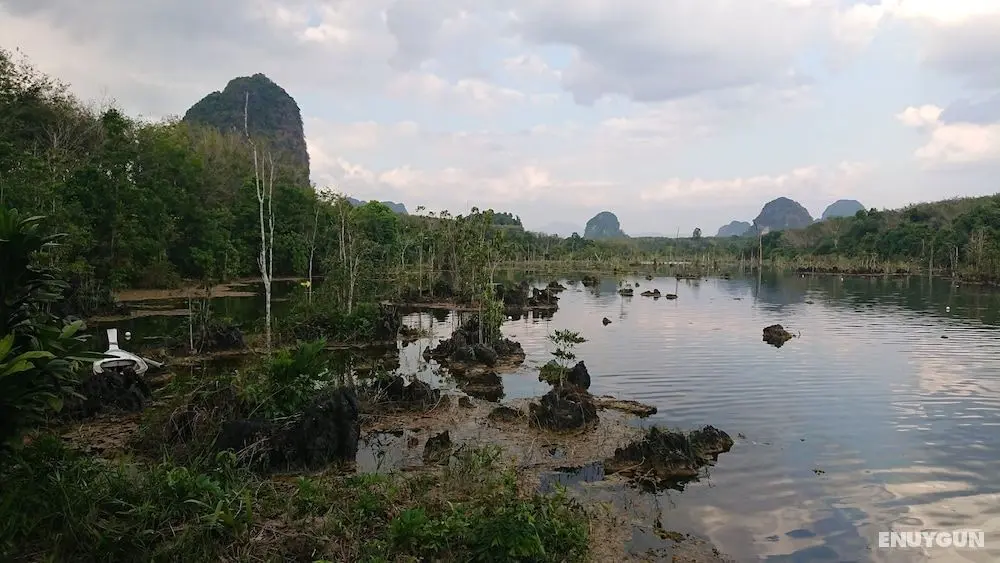 The Krabi Forest Homestay - Aktiviteler