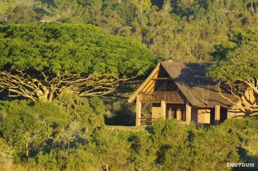 Kragga Kamma Game Park - Dış Mekan