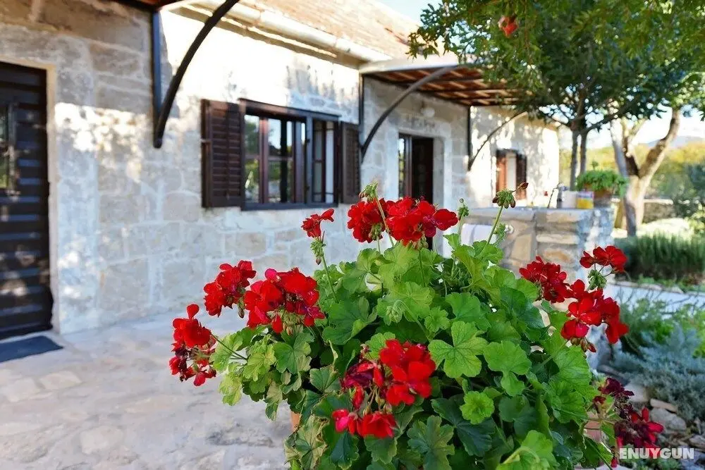 Villa Krasa Charming Stone House With Pool Isolated in Nature Bike Routs Around - Oda