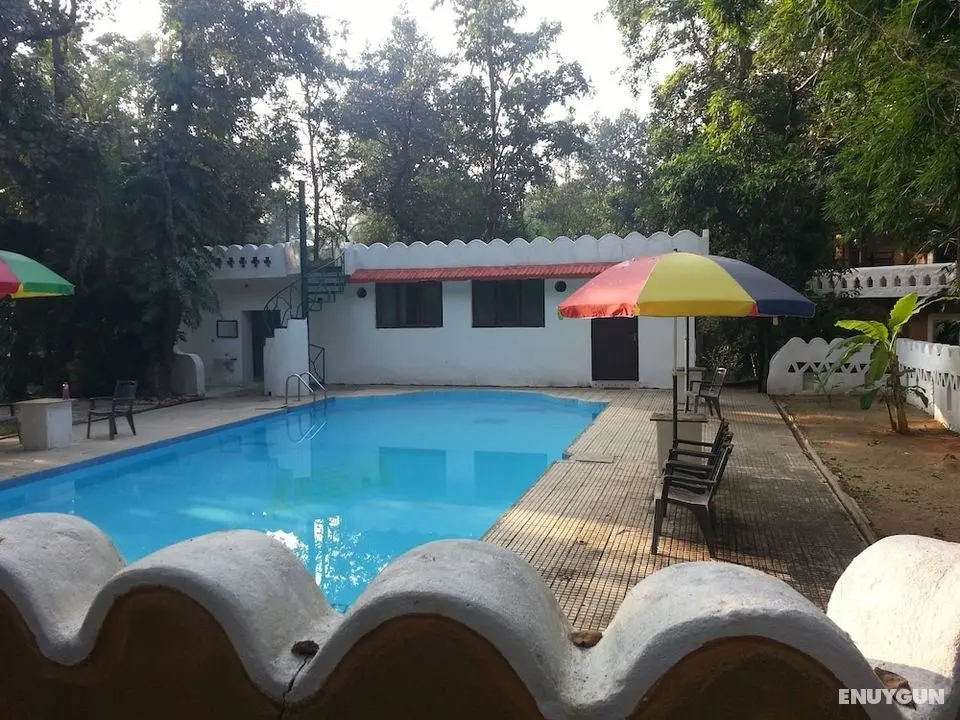 Krishna Jungle Resort - Havuz