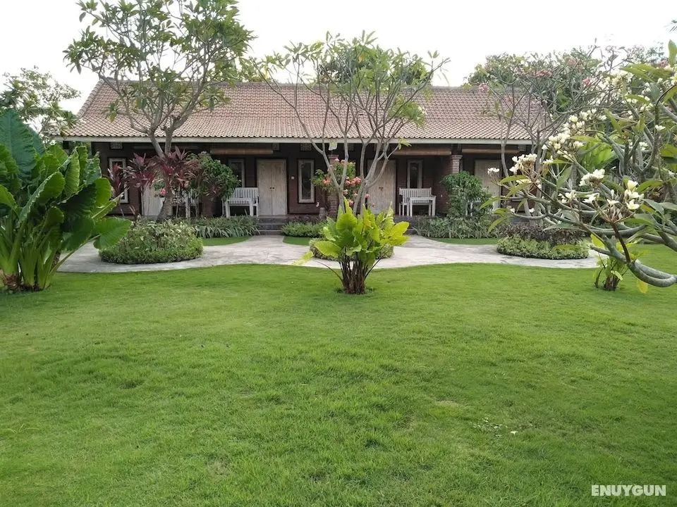 Krisna Homestay - Öne Çıkan Resim