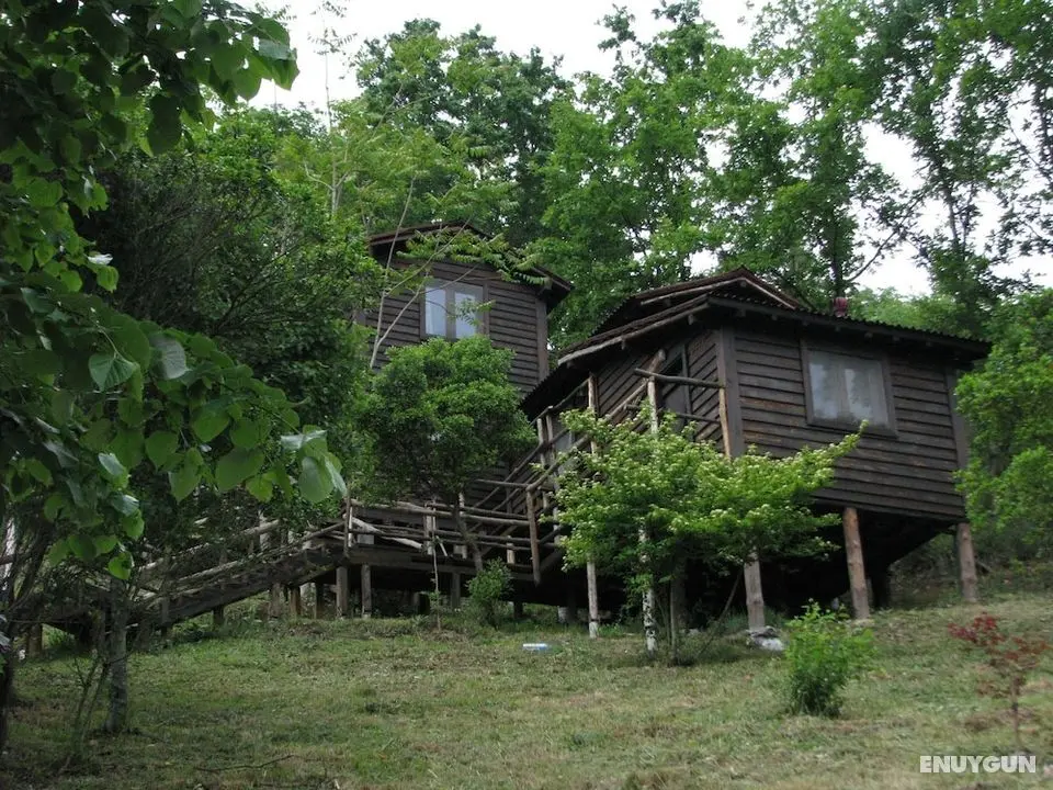 Kulindağ Dağ Evi - Öne Çıkan Resim