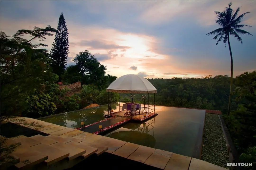 Kupu Kupu Barong Villas & Tree Spa - Genel