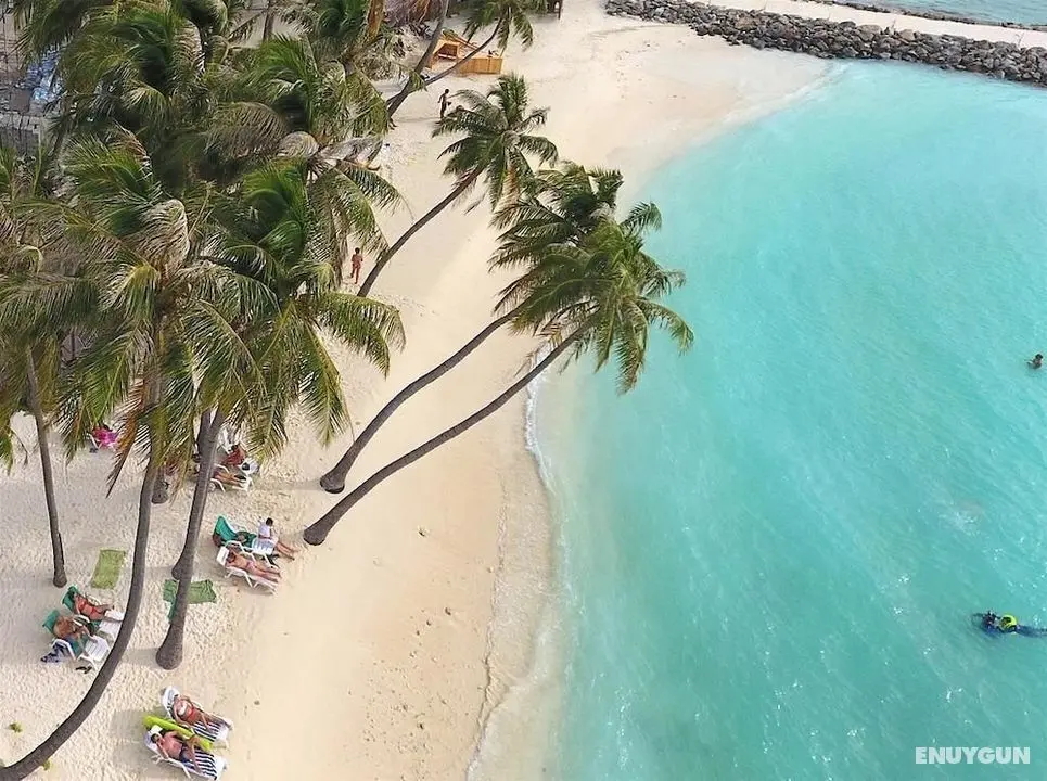 Kuredhi Beach Inn - Plaj