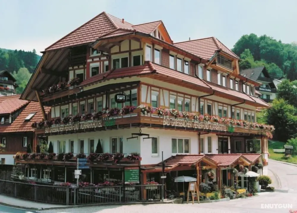 Kurparkhotel Faißt - Öne Çıkan Resim