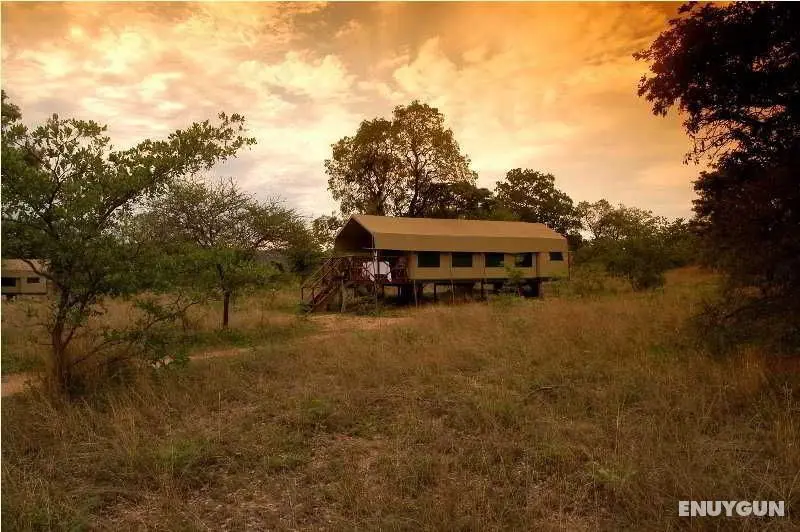 Kwafubesi Tented Safari Camp - Genel
