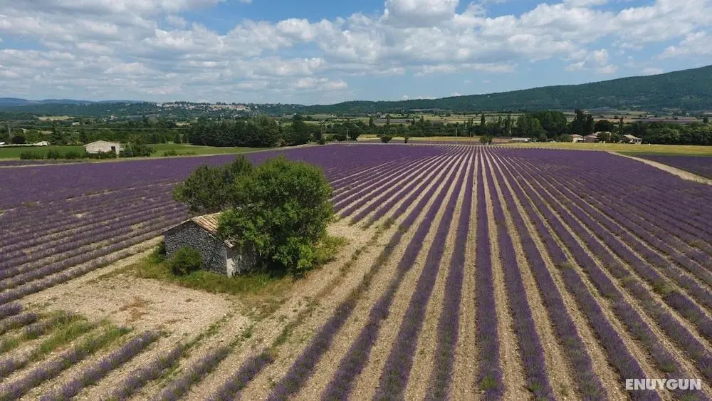 La Bastide des Bourguets - Dış Mekan