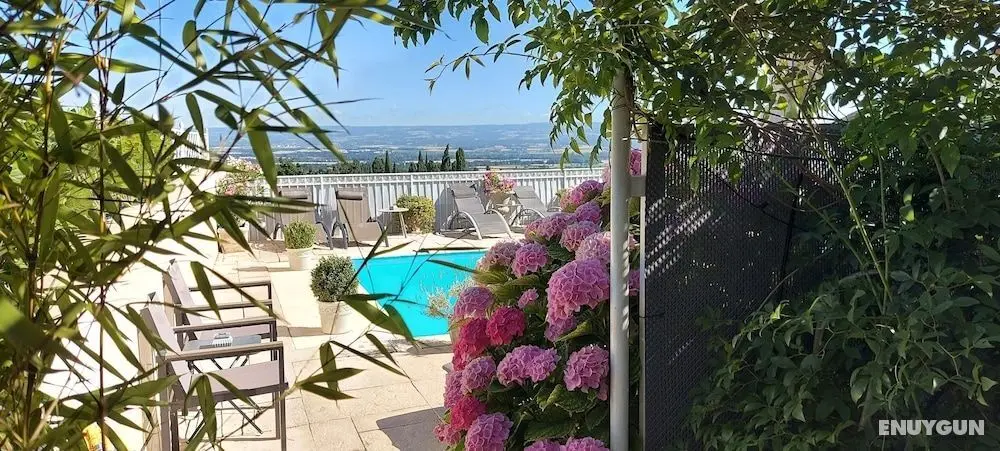 La Belle Vie - Öne Çıkan Resim