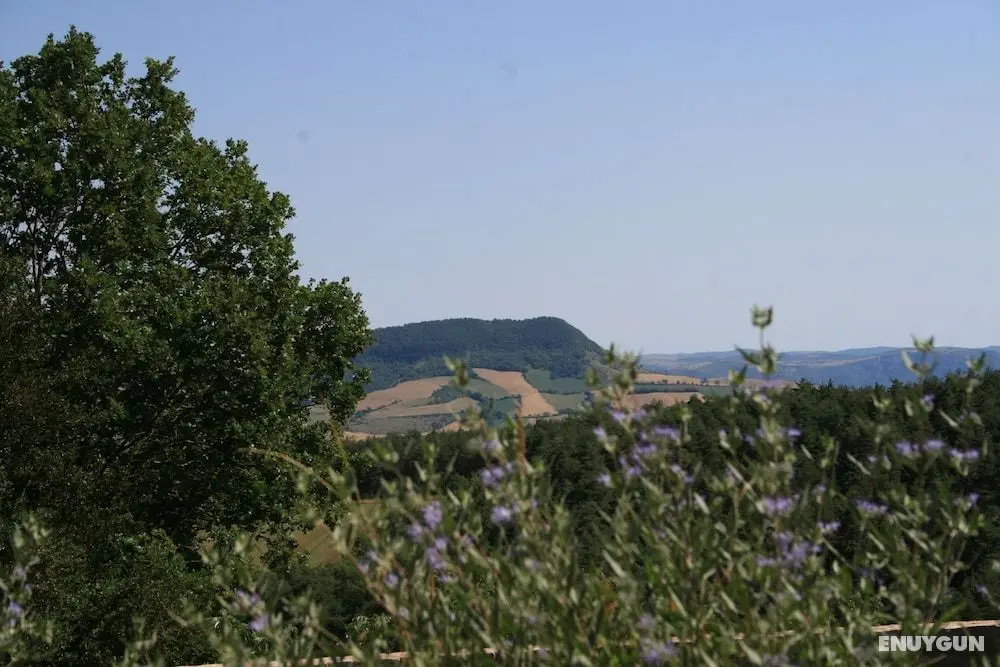 La Bergerie Baroque - Oda Manzaraları