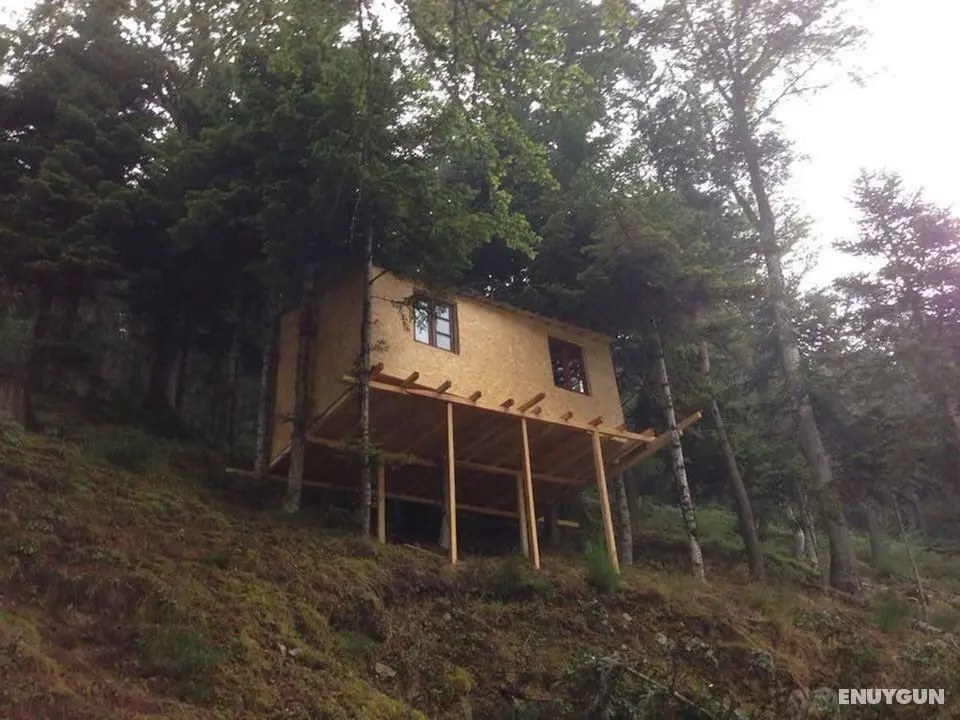 La cabane dans les arbres - Oda