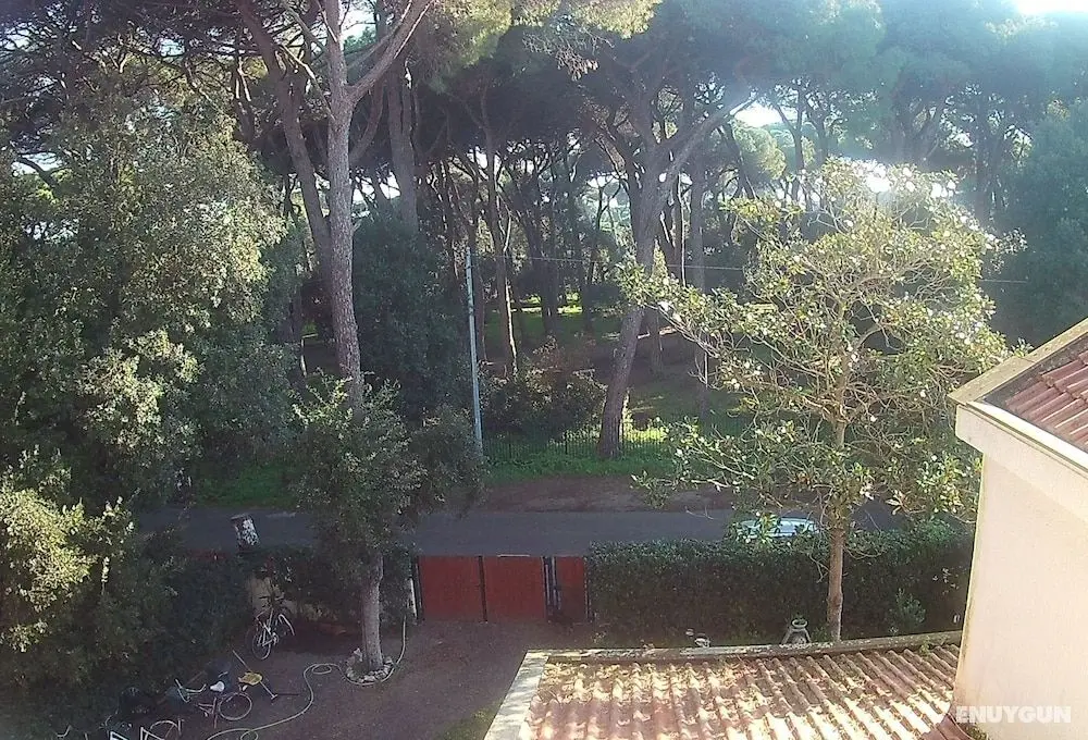La Casa di Nataly - Dış Mekan