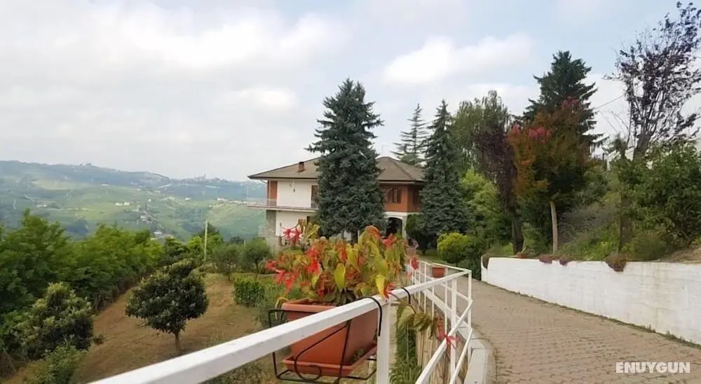 La Casa nel Verde - Öne Çıkan Resim