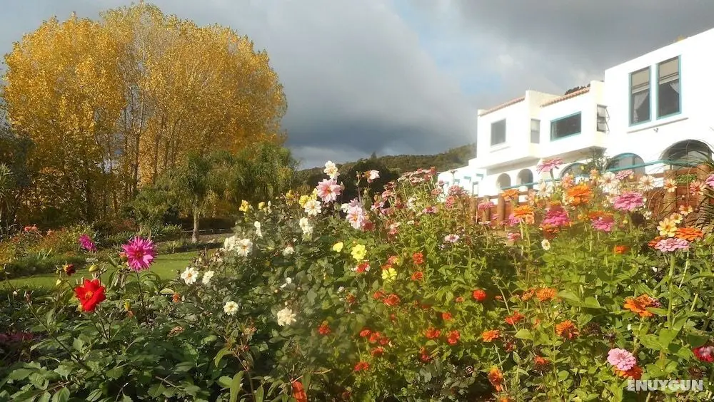 La Casa Te Puru Lodge - Öne Çıkan Resim