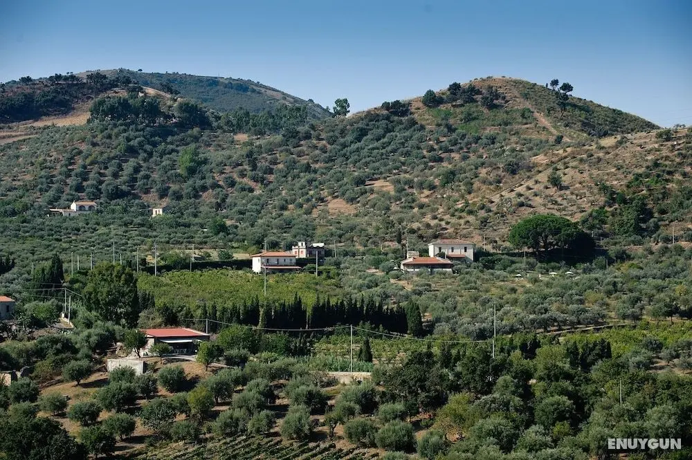 La Collina degli Ulivi - Casa Ulivi 1 - Konum Öne Çıkanlar