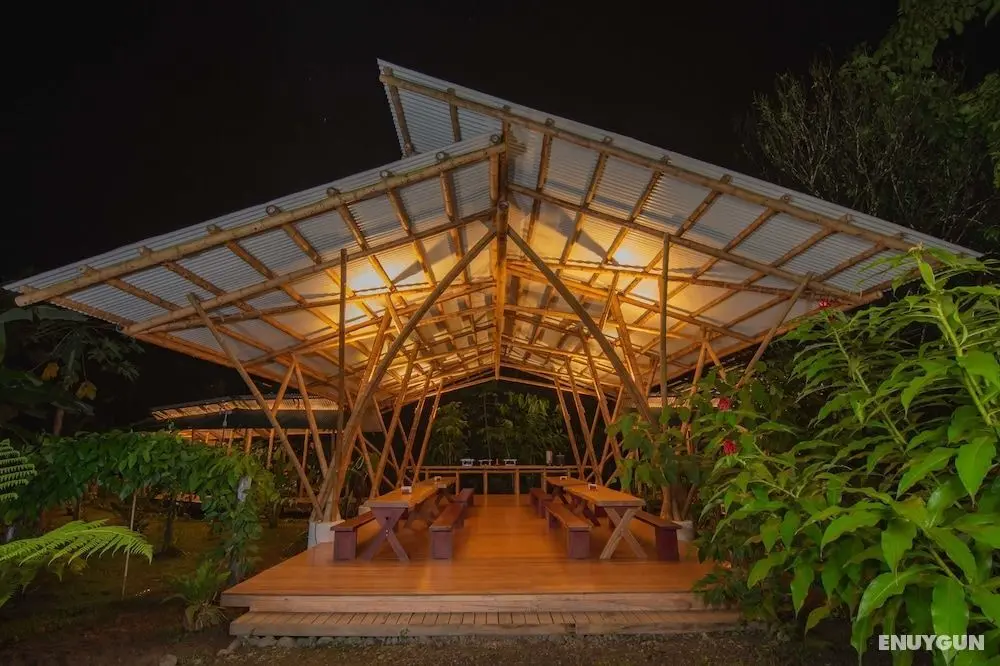 La Cotinga Biological Station - Öne Çıkan Resim