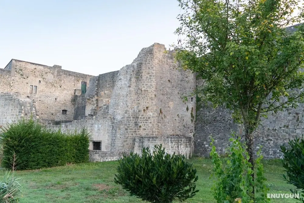 La Fée Maison - Aktiviteler