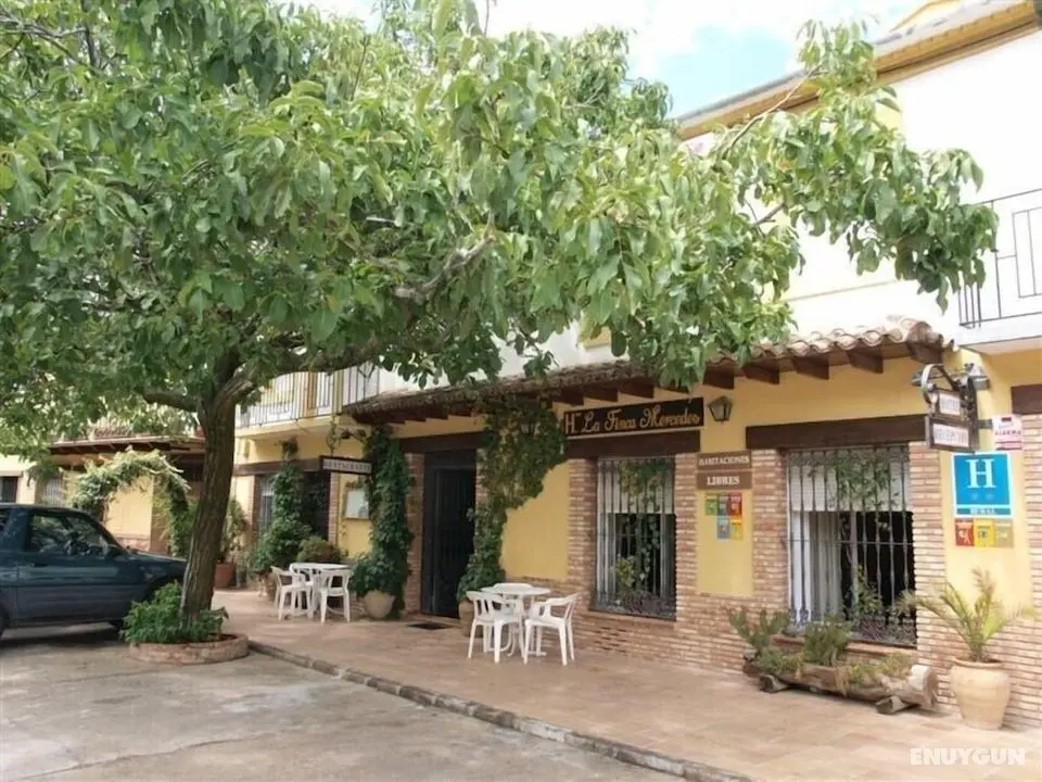Hotel La Finca Mercedes - Öne Çıkan Resim