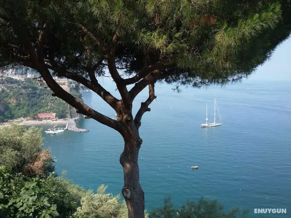 La Fusarella Villa Santoro - Öne Çıkan Resim