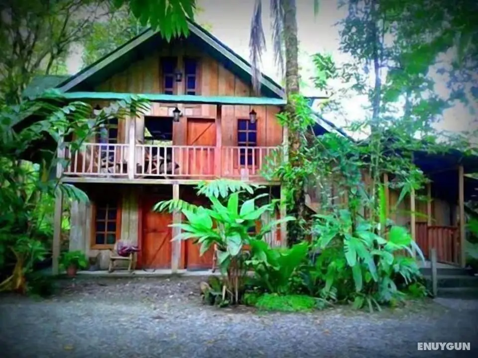 La Gamba Rainforest Lodge - Öne Çıkan Resim