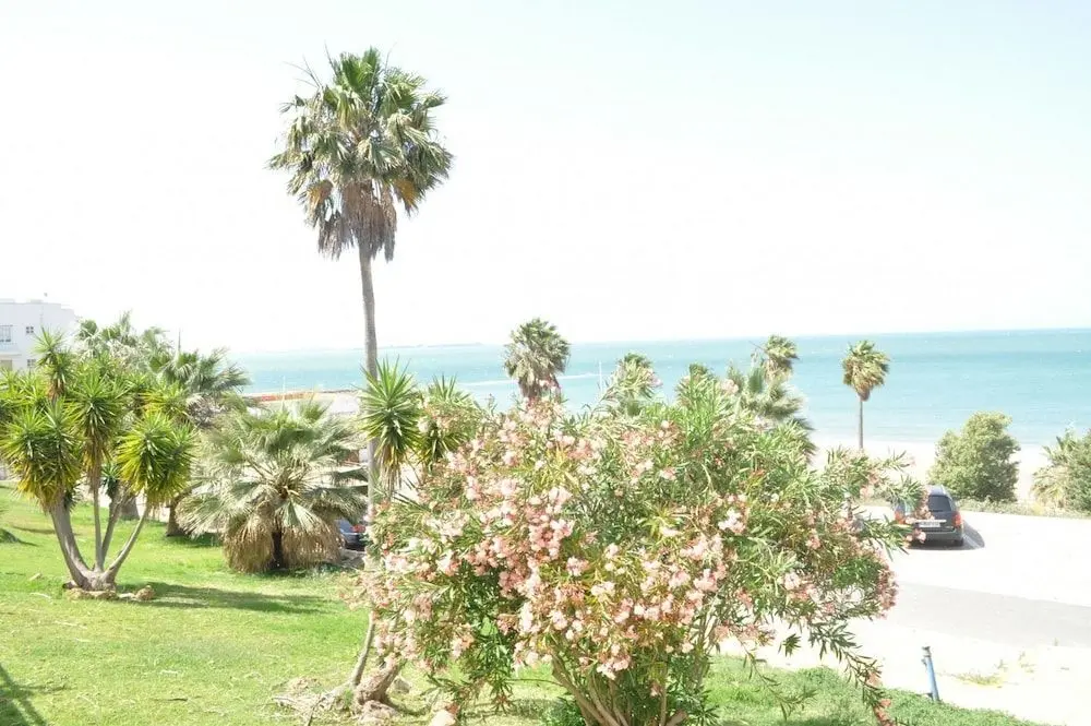 La Goleta - Konum Öne Çıkanlar