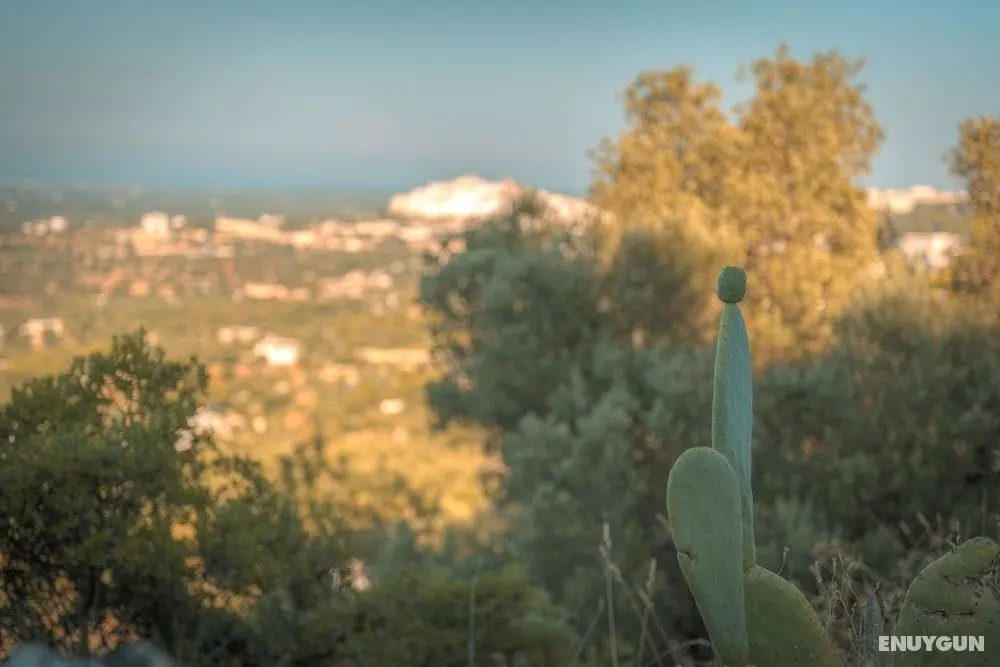 La Lamia 1864 Ostuni by Typney - Konum Öne Çıkanlar