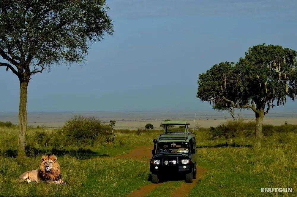 La Maison Royale Masai Mara - Aktiviteler