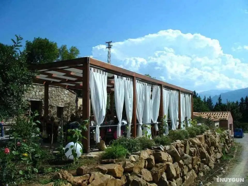La Manna di Zabbra - Öne Çıkan Resim