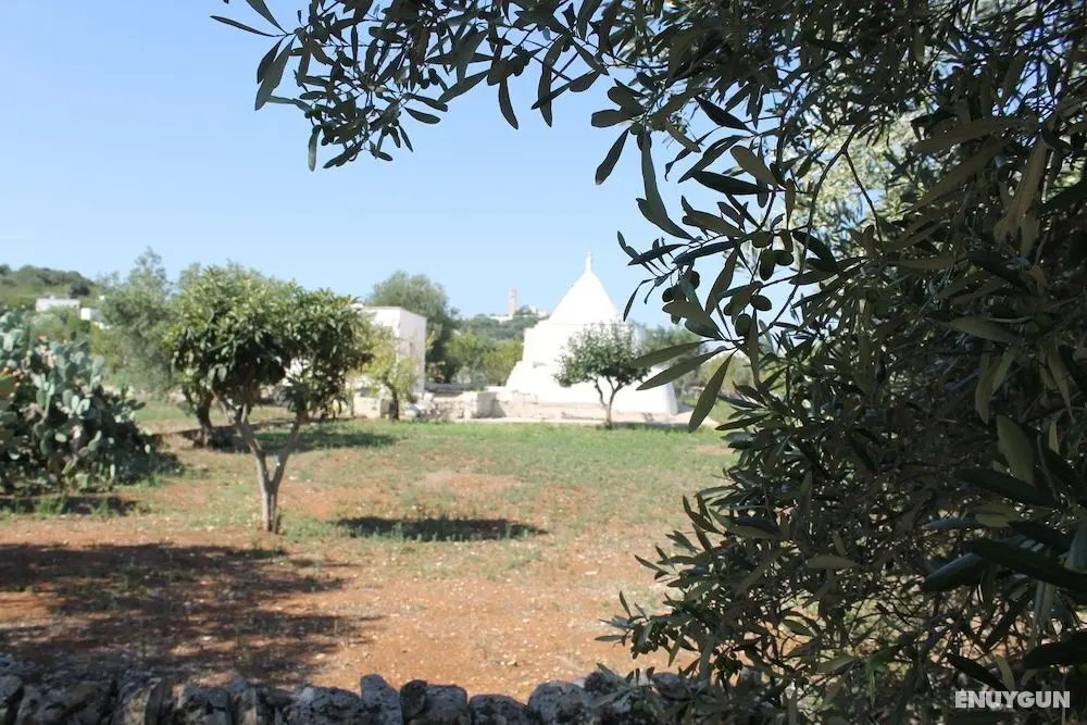 Villa La Mascherada - Dış Mekan
